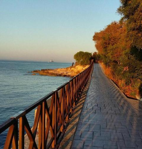Residence One Λεμεσός Εξωτερικό φωτογραφία